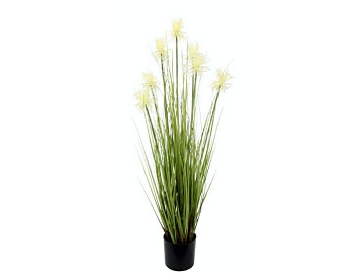Künstliche Protea im Grasbusch im Topf Nadelkissen Pflanze Busch Ufergras Federgras Seidenblumen Dekogras Gras Kunstgras künstliche Pflanzen Kunstpflanze Grünpflanze Solitärgras Ziergras Dekopflanze