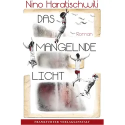 Das mangelnde Licht, Belletristik von Nino Haratischwili