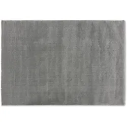 Astra Teppich Domaso D.250 C.005 grau 200x290 cm