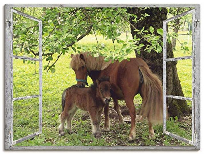 ARTLAND Wanddeko Leinwand Bilder Wandbild 60x45 cm Fensterblick Fenster Pferd Pony Natur Wiese Landhaus Baum Ausblick S8HN