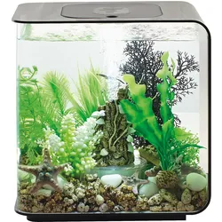 biOrb FLOW 15 LED schwarz (72029)