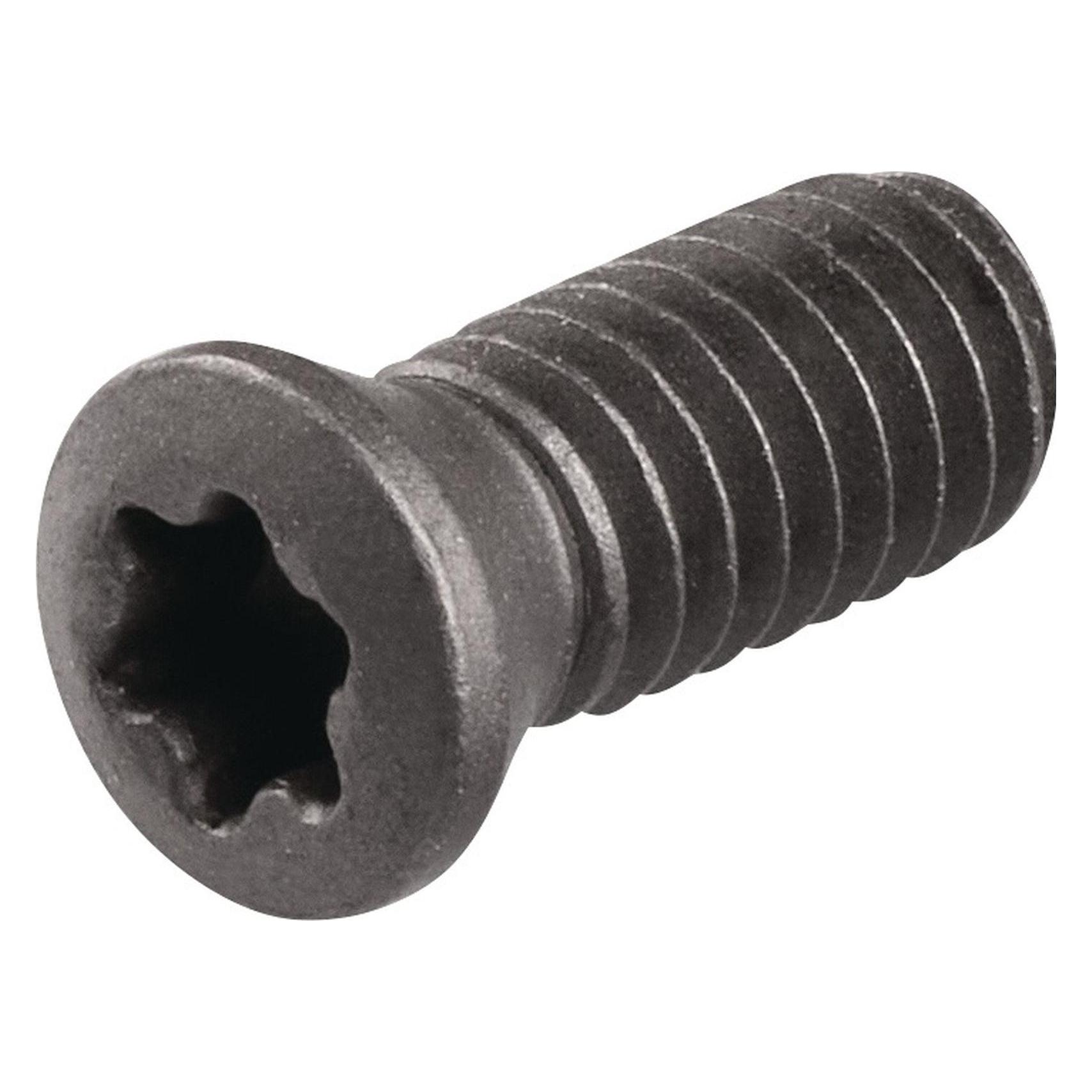 Tecwerk Spannschraube WS0410 Grösse T15 (2480141079)