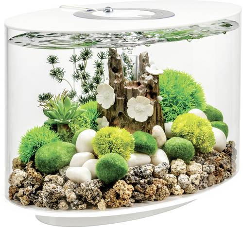 OASE biOrb 86414 biOrb LOOP 15 LED weiß Aquarium EEK: G (A - G) 15l mit LED-Beleuchtung