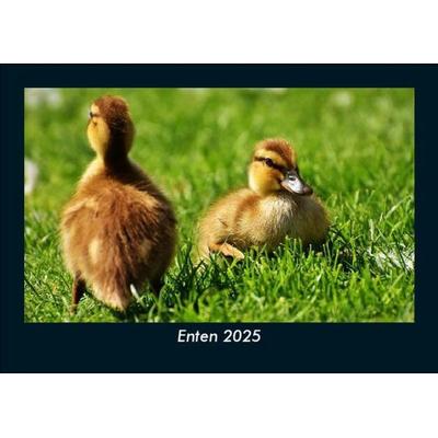 Enten 2025 Fotokalender DIN A5