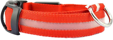 Pet Hub Waterproof LED Dog Collar With Light Red XS