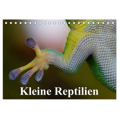 Kleine Reptilien (Tischkalender 2027 DIN A5 quer), CALVENDO Monatskalender