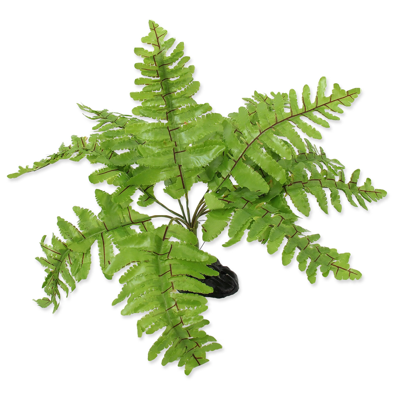 Repti Planet decoratie plant Nephrolepis varen, 20 cm