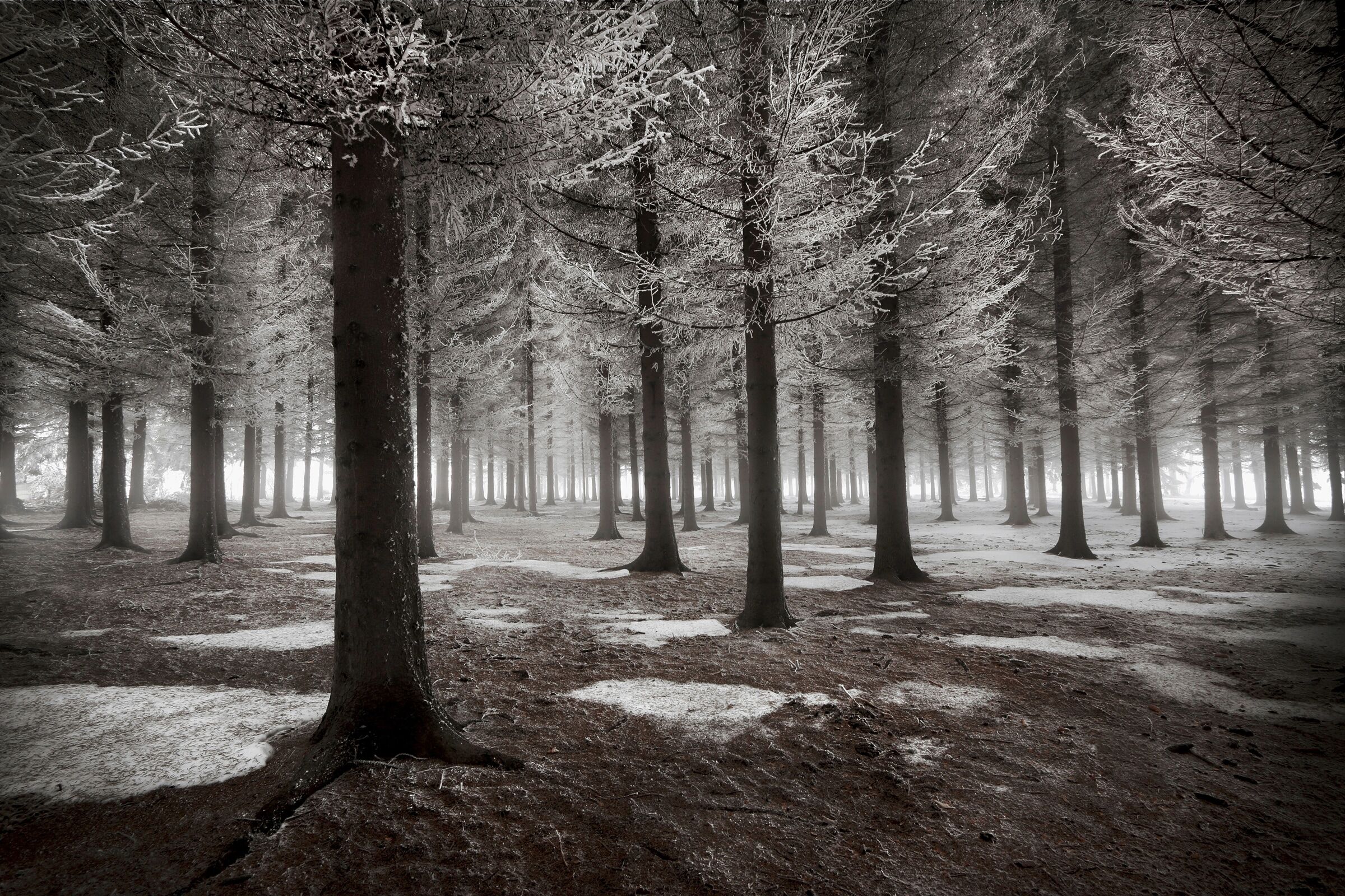 Fototapete PAPERMOON "Photo-Art DRAGISA PETROVIC, DER BEGINN DES WINTERS", bunt, B:4m L:2,6m, Vlies, Tapeten, Fototapete bunt B/L: 4m x 2,6m, Bahnen: 8 Stk.
