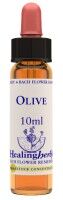 NATUR Srl OLIVE ESS 10ML INGL HERBS