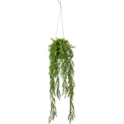 Kunstpflanze CREATIV GREEN "Hängepflanze Aeschynanthus", grün, H:90cm, Obermaterial: 100% Kunststoff, Kunstpflanzen, Kunstpflanze, mit schönem Blattwerk