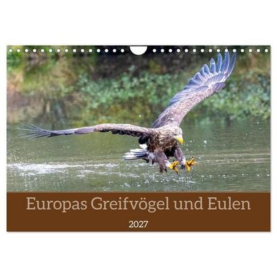 Europas Greifvögel und Eulen (Wandkalender 2027 DIN A4 quer), CALVENDO Monatskalender