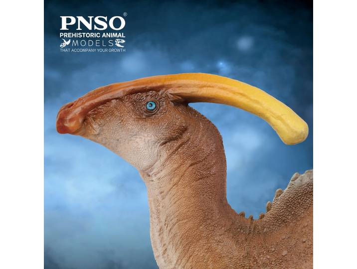 Modèles de dinosaures préhistoriques PNbucThe Parasauflexophus, Wyatt 44