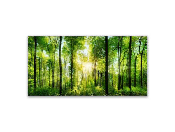 Tulup Leinwandbild 100x50 cm Sonnenstrahlen im Wald, Grün, Braun, 100x4 cm, Bilder & Rahmen, Bilder, Leinwandbilder