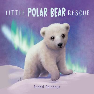 Little Polar Bear Rescue - Rachel Delahaye, Audio, 9781399103213