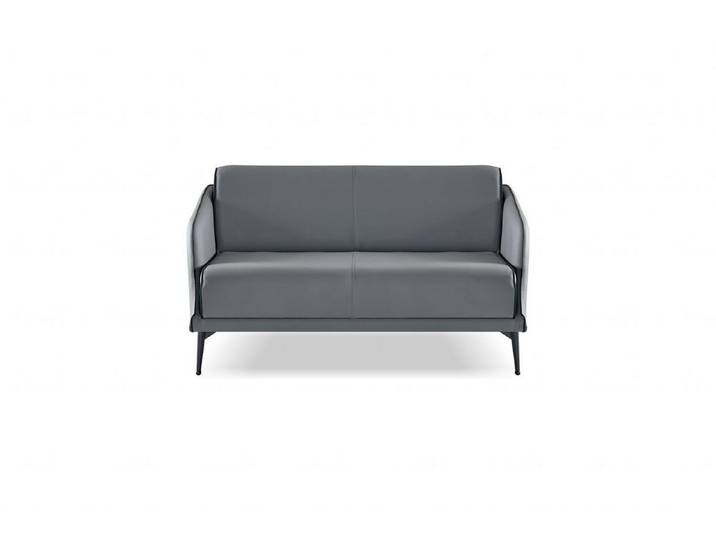 JVmoebel 2-Sitzer Sofa modernes Grau minimalistisch vielseitig ergonomisch, 1 Teile, Made in Europa