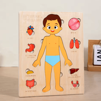 Inspire Picks Montessori Human Body Busy Board For Toddlers Body Parts Learning Toy boy