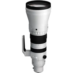 Sigma 300-600mm F4 DG OS | Sport für L-Mount