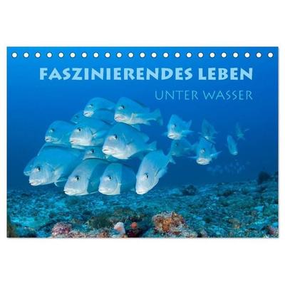 Faszinierendes Leben unter Wasser (Tischkalender 2027 DIN A5 quer), CALVENDO Monatskalender