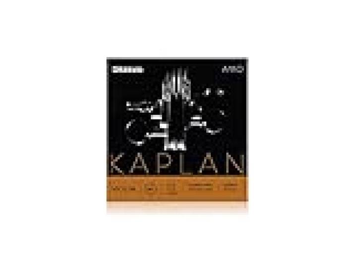 Cordes de violon D'Addario Kaplan Amo - Jeu complet - KA310 4/4L - Cordes de violon - Échelle 4/4, Tension légère