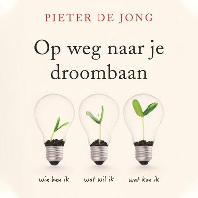 Op weg naar je droombaan - Pieter de Jong, Audio, 9789463633260