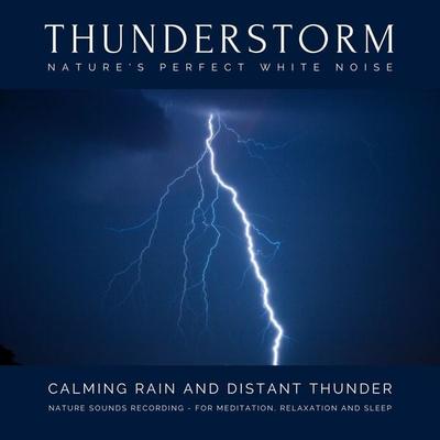 Calming Rain and Distant Thunder - Thunderstorm Nature Sounds Recording - for Meditation, Relaxation and Sleep - Nature's Perfect White Noise -