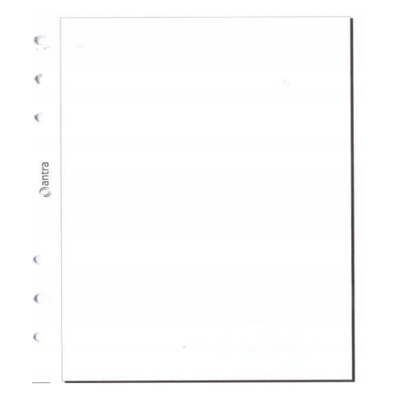 Antrax Organizer-Einsatz K/reinweiss ANTRA (58103534)