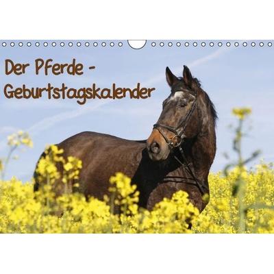Der Pferde-Geburtstagskalender (Wandkalender immerwährend DIN A4 quer)