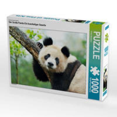 CALVENDO Puzzle Ein Motiv aus dem Kalender Der Große Panda Ein kuscheliger Geselle | 1000 Teile Lege-Größe 64x48cm Foto-Puzzle für glückliche Stunden