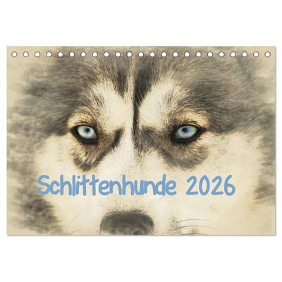 Schlittenhunde 2026 (Tischkalender 2026 DIN A5 quer), CALVENDO Monatskalender