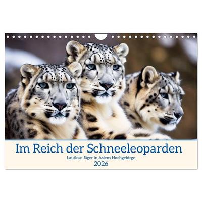 Im Reich der Schneeleoparden (Wandkalender 2026 DIN A4 quer), CALVENDO Monatskalender