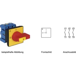 Kraus&amp;Naimer Hauptschalter Not-Aus KG100 T203/04 E