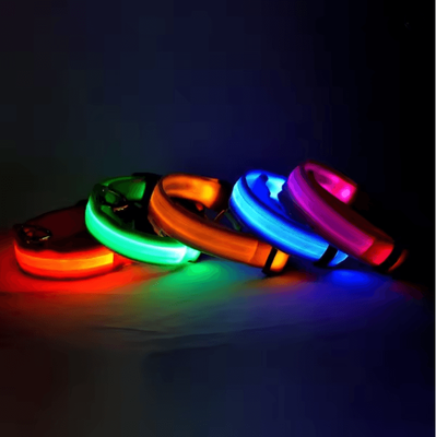 Inspire Essentials GlowGuard LED Dog Leash And Collar Set s blue