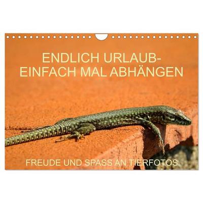 Freude und Spaß an Tierfotos (Wandkalender 2027 DIN A4 quer), CALVENDO Monatskalender
