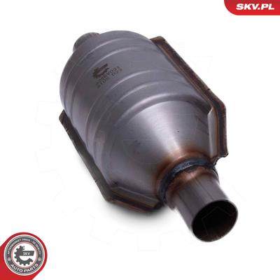 ESEN SKV Katalysator, 62SKV031