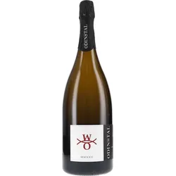 Riesling Sekt Brut MMXXII Odinstal MAGNUM 2022 BIO