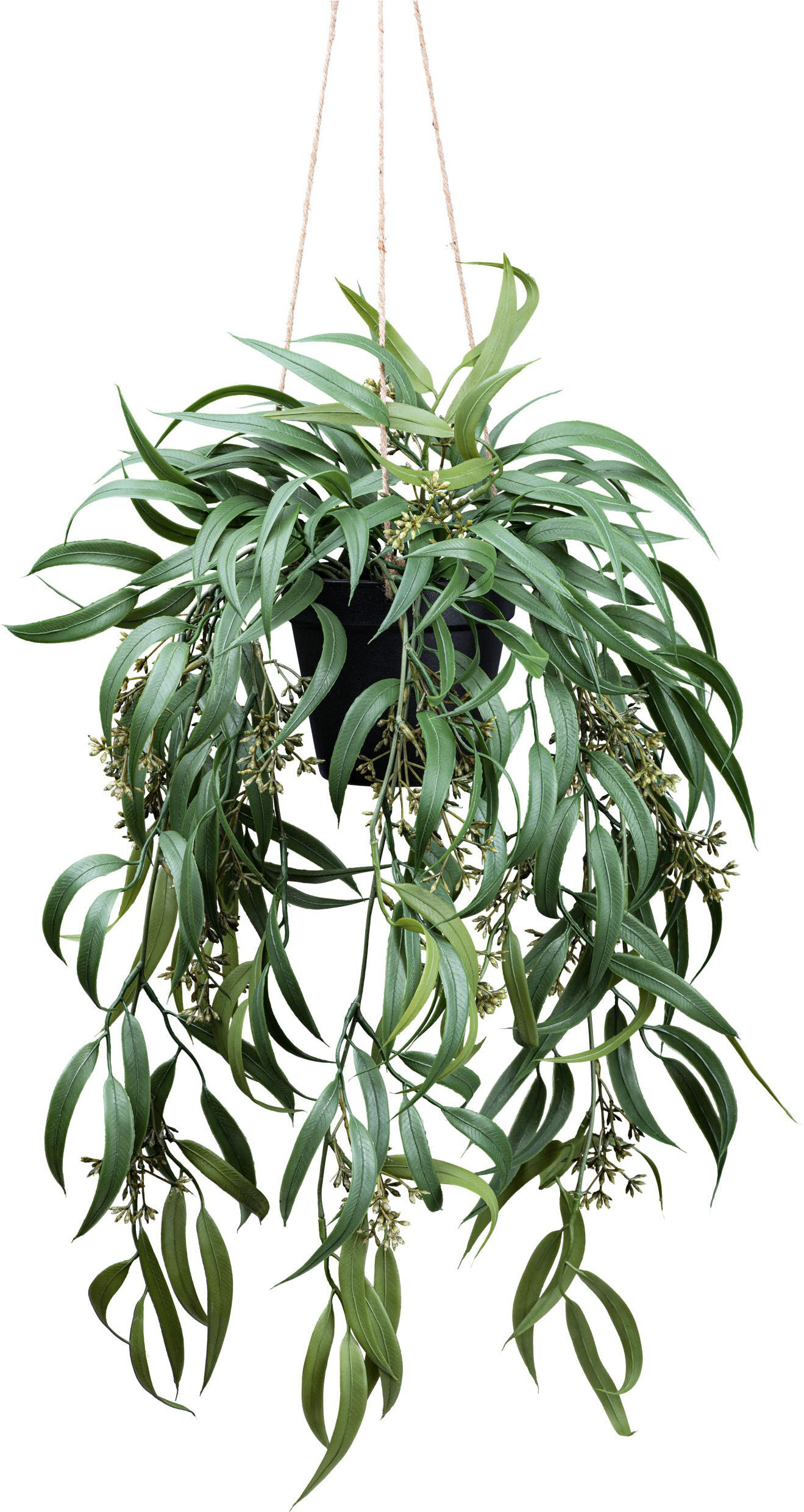 Kunstpflanze CREATIV GREEN "Eukalyptus Globolus", grün, H:65cm, Kunstpflanzen, Kunstpflanze, mit Fruchtblüten