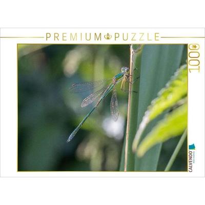 CALVENDO Puzzle Südliche Binsenjungfer (Männchen) | 1000 Teile Lege-Größe 64x48cm Foto-Puzzle für glückliche Stunden