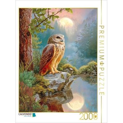 CALVENDO Puzzle Greifvögel | 2000 Teile Lege-Größe 90x67cm Foto-Puzzle für glückliche Stunden