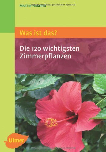Martin Haberer - Was ist das? Die 120 wichtigsten Zimmerpflanzen: Zimmerpflanzen spielend leicht erkennen - Preis vom 09.10.2026 07:28:09 h