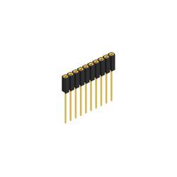Fischer Elektronik Buchsenleiste (Präzision) Anzahl Reihen: 1 10025817 10 St.