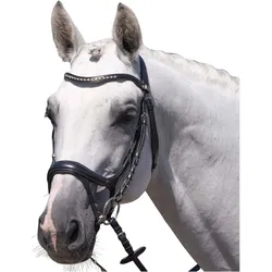 Premier Equine, Zaumzeug