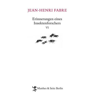 Erinnerungen eines Insektenforschers VI, Gebundene Ausgabe von Jean-Henri Fabre, Matthes & Seitz, 978-3-88221-676-9