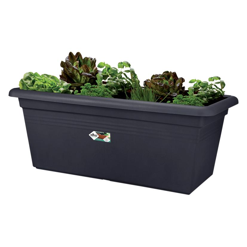 Elho basics garden xxl Outdoor Topfpflanzer Freistehend Polypropylen (PP) (77 x 39 x 34 cm) (8711904154998)