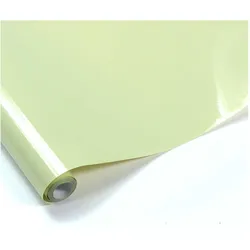 Planet-Hobby Bügelfolie Cream Grün 5 Meter