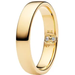 Pandora 164776C01 Damen-Ring Klassische Schiene Goldfarben, 58/18,5