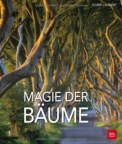 Doris Laudert - Magie der Bäume - Preis vom 17.10.2026 19:25:27 h