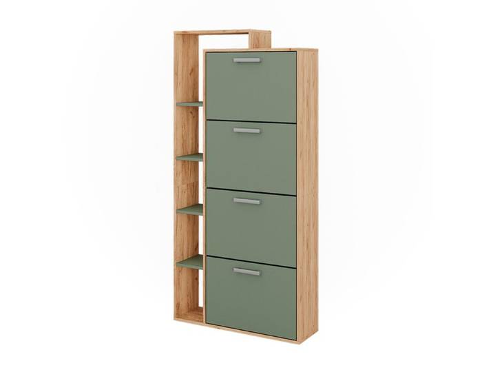 Le basculeur à chaussures Orlando 80x166.1cm avec 4 compartiments Chêne de force doré/Vert Vicco 53245