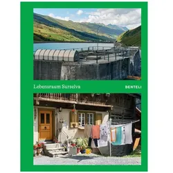 Lebensraum Surselva, Fachbücher von Urs Meyer