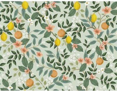 Rifle Paper Co.Citrus Grove Mint Peel and Stick Wallpaper