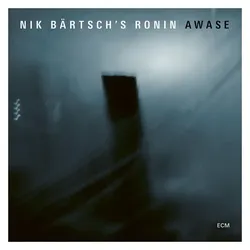 ECM, Schallplatten, Awase (Nik Bortsch)